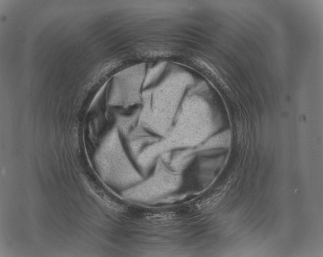 X0000074210447200609151600