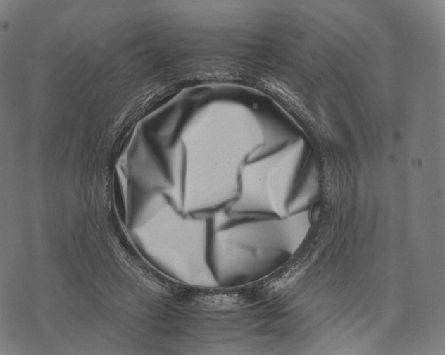 X0000074210449200609151600