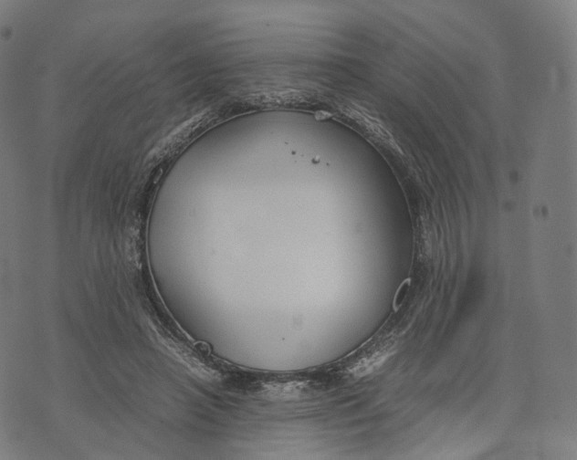 X0000074210450200609151600