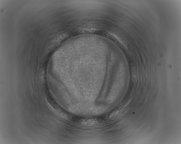 X0000074210451200609151600