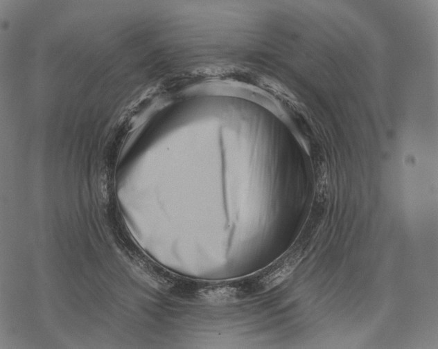 X0000074210452200609151600