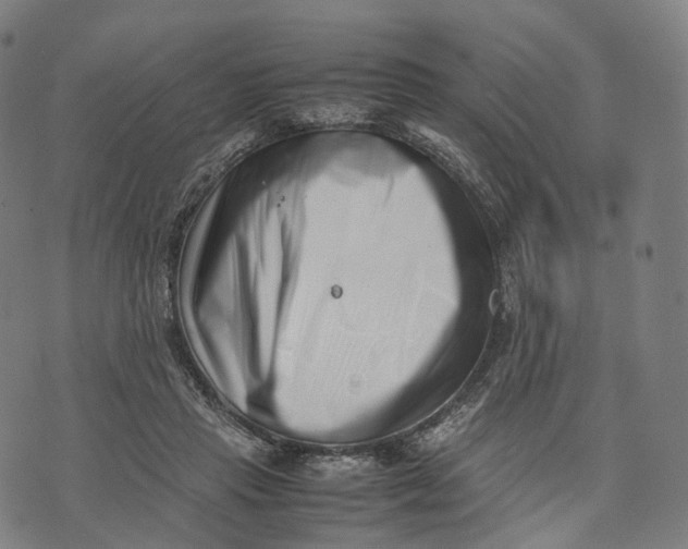 X0000074210453200609151600