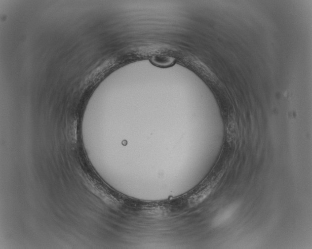 X0000074210454200609151600