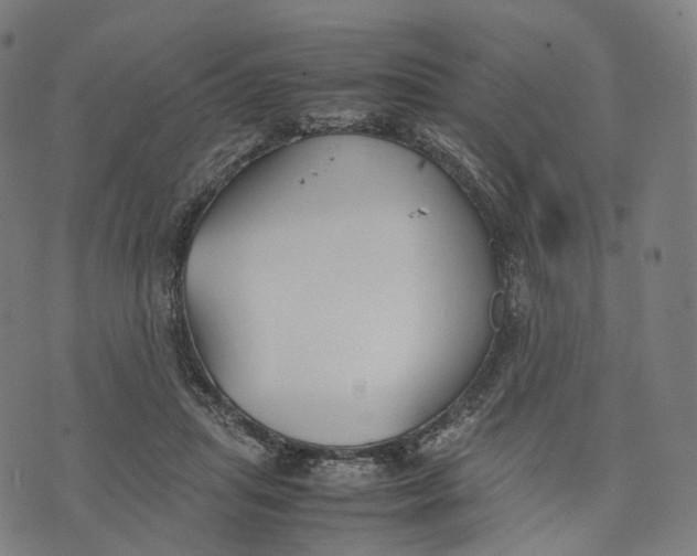 X0000074210455200609151600