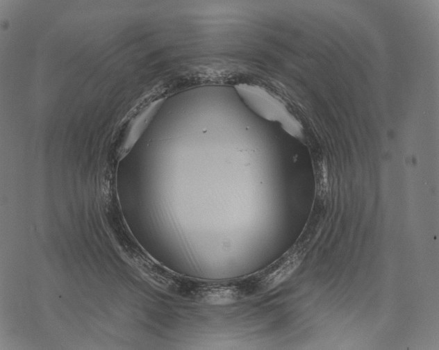 X0000074210456200609151600