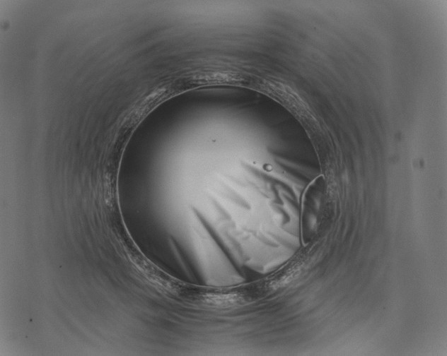 X0000074210457200609151600