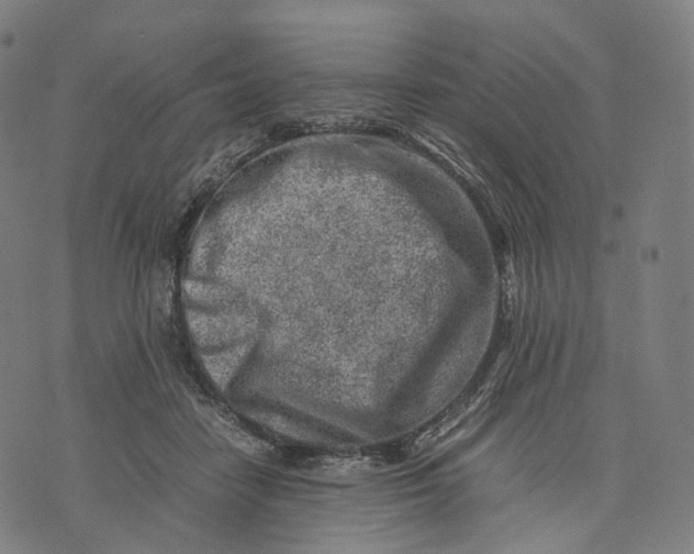 X0000074210458200609151600