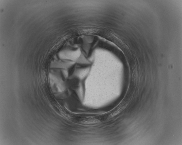 X0000074210459200609151600