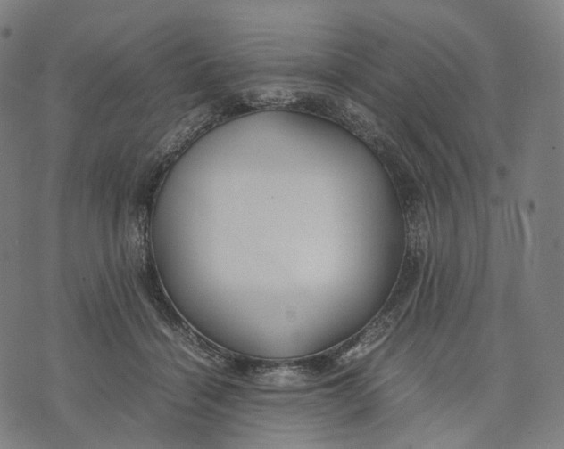 X0000074210460200609151600