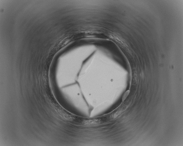 X0000074210461200609151600