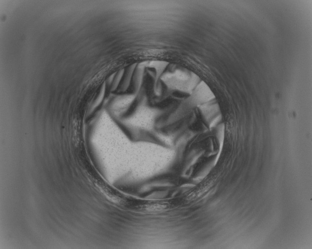 X0000074210462200609151600