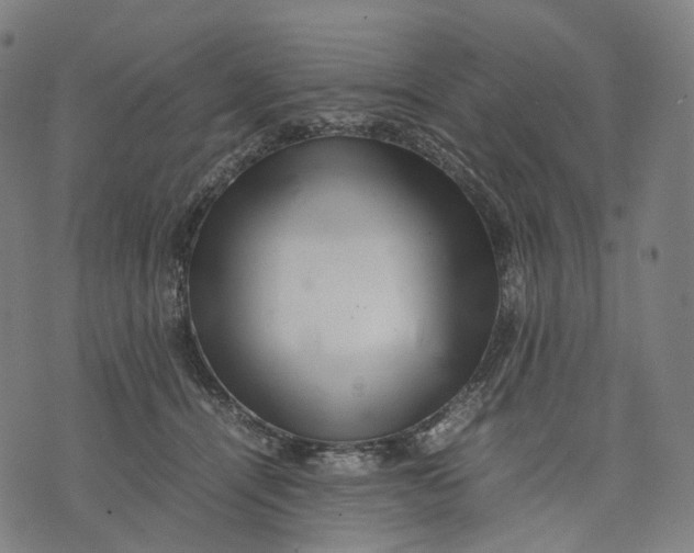 X0000074210464200609151600