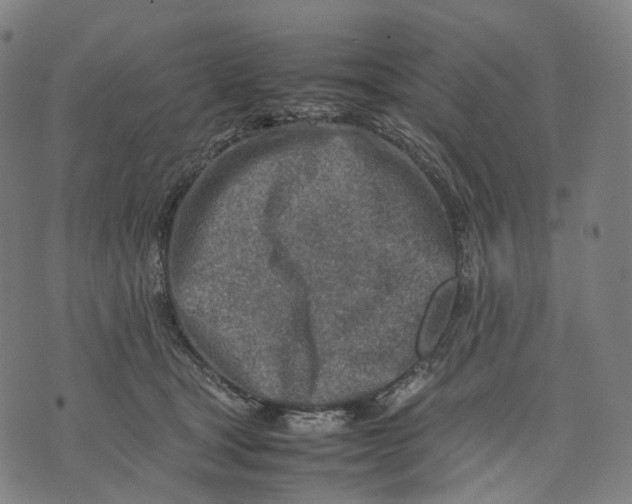 X0000074210465200609151600