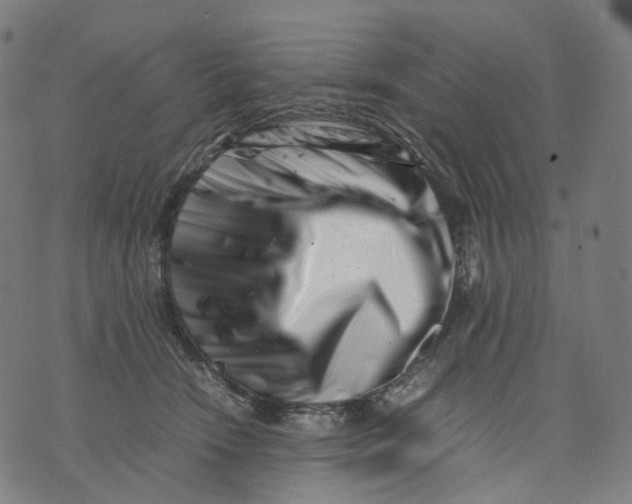 X0000074210466200609151600