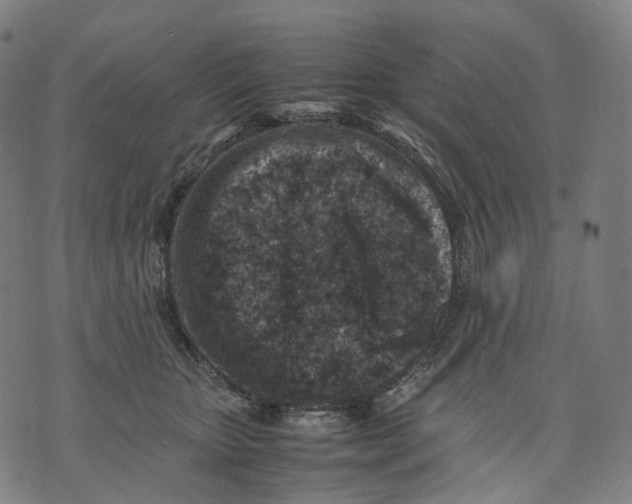 X0000074210467200609151600