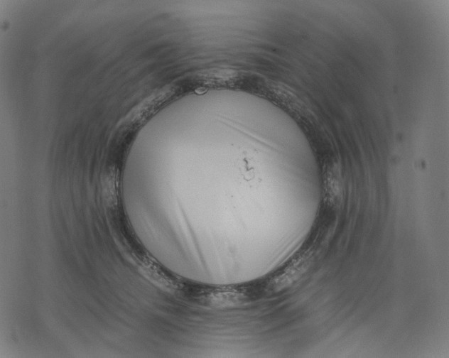 X0000074210468200609151600