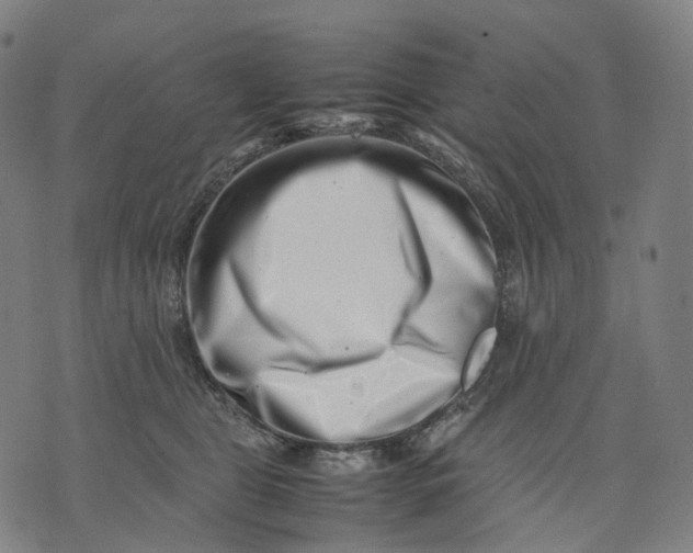 X0000074210469200609151600