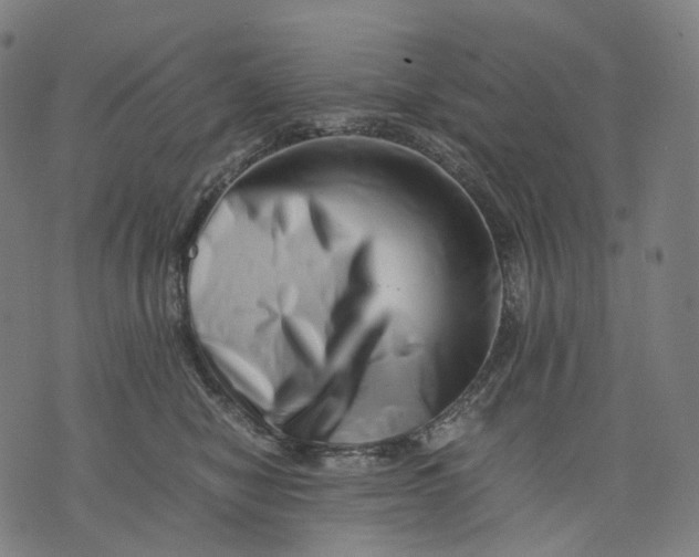 X0000074210470200609151600