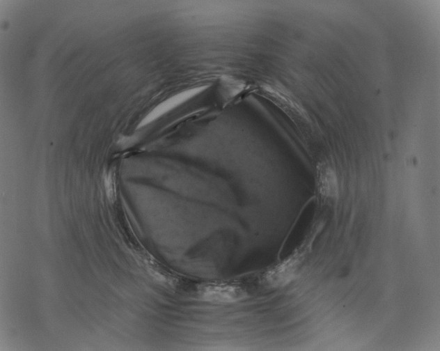 X0000074210471200609151600