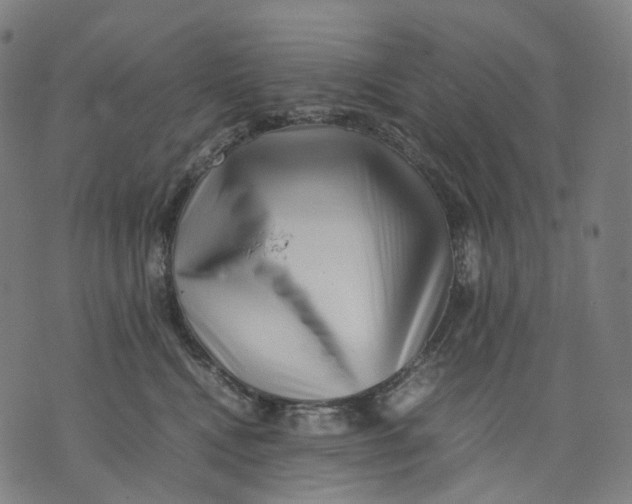 X0000074210472200609151600