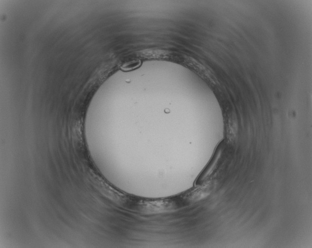 X0000074210473200609151600