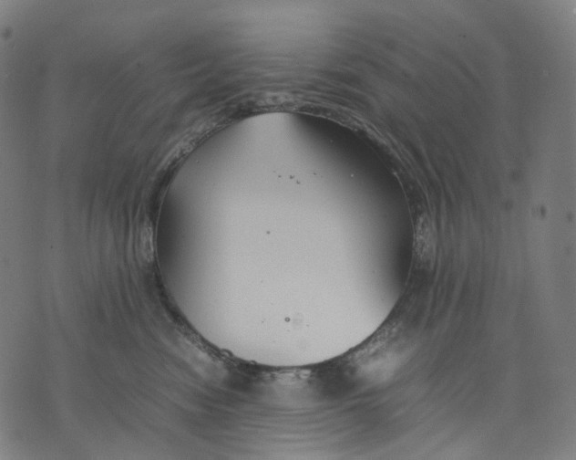 X0000074210474200609151601