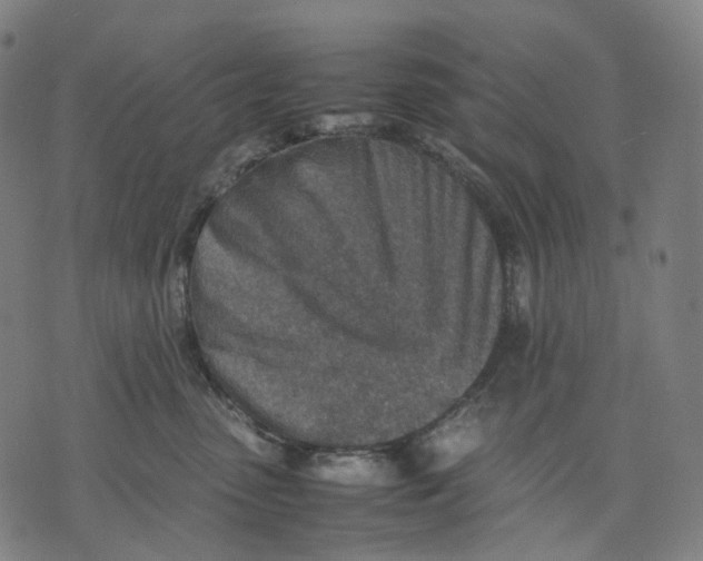 X0000074210475200609151601