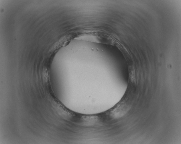 X0000074210476200609151601