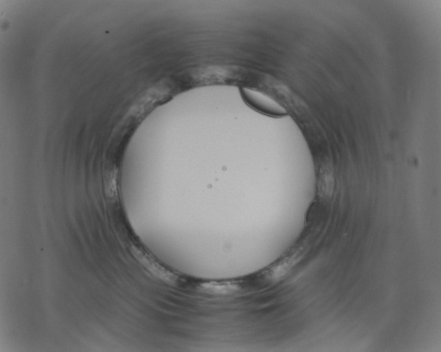 X0000074210477200609151601