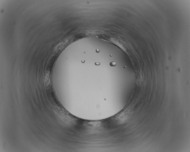 X0000074210478200609151601