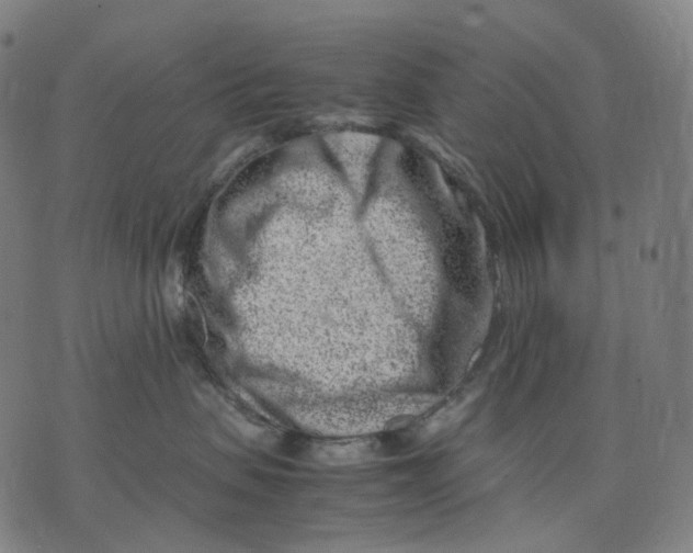 X0000074210479200609151601