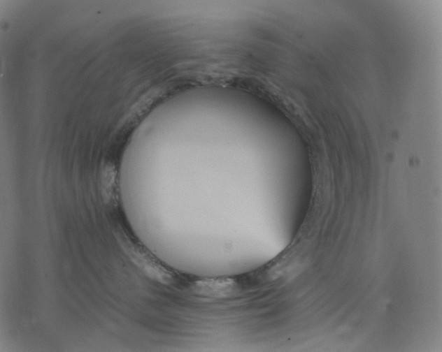 X0000074210480200609151601