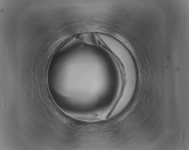 X0000074210481200609151600