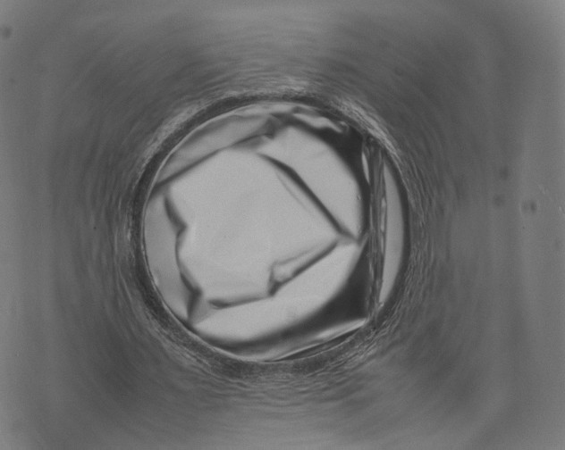 X0000074210483200609151600