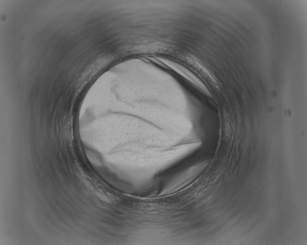 X0000074210486200609151600