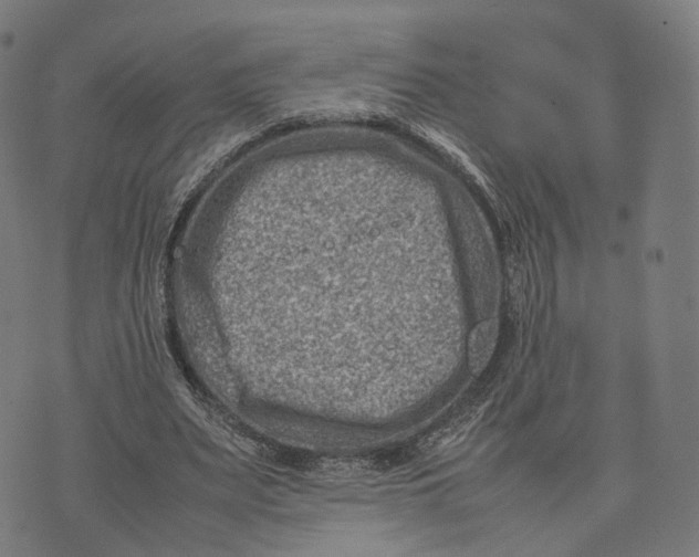 X0000074210487200609151600