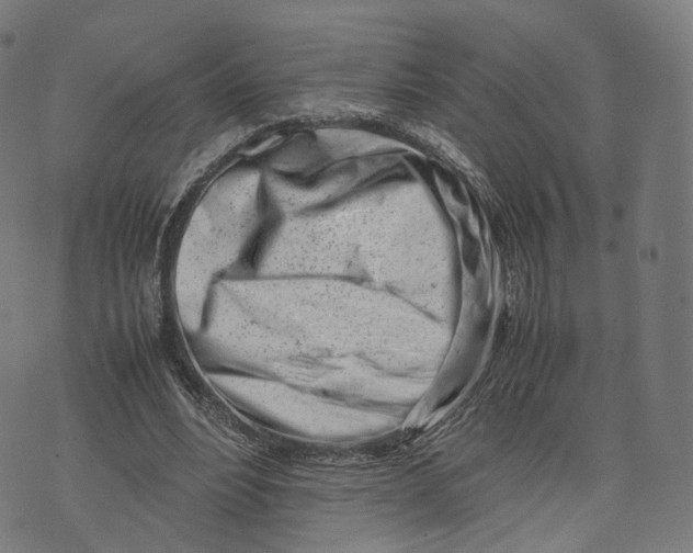 X0000074210488200609151600