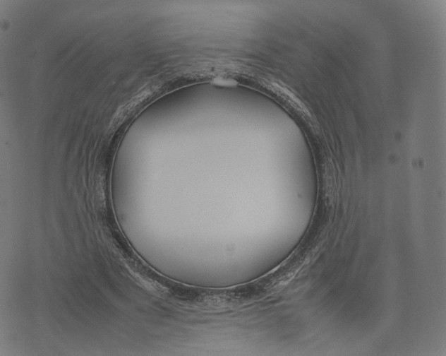 X0000074210489200609151600