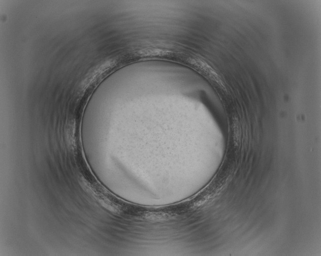 X0000074210490200609151600