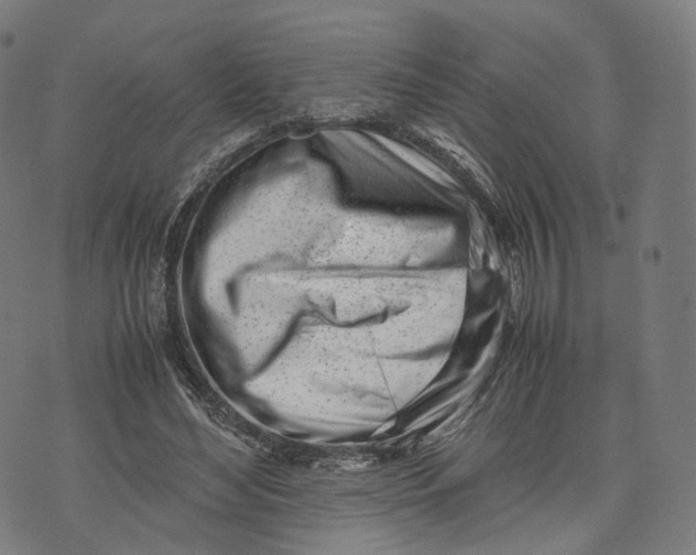 X0000074210492200609151600