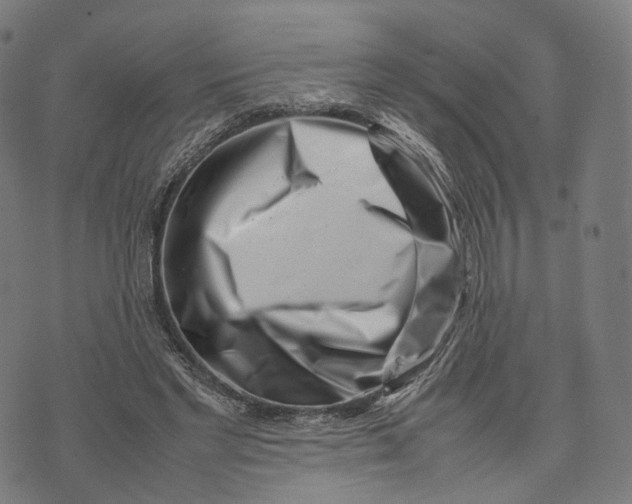 X0000074210493200609151600