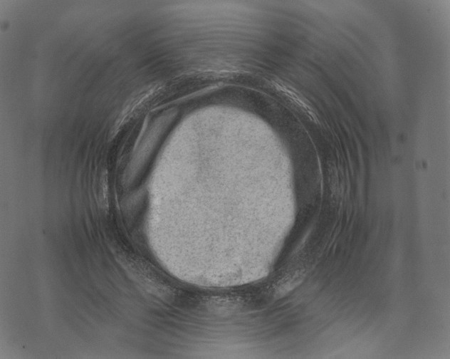 X0000074210494200609151600