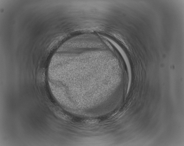 X0000074210495200609151600