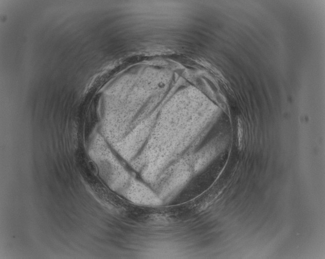 X0000074210496200609151600