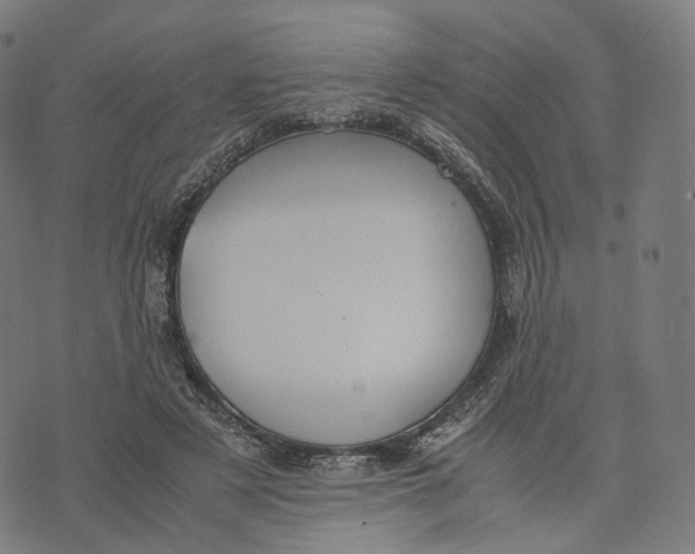 X0000074210497200609151600