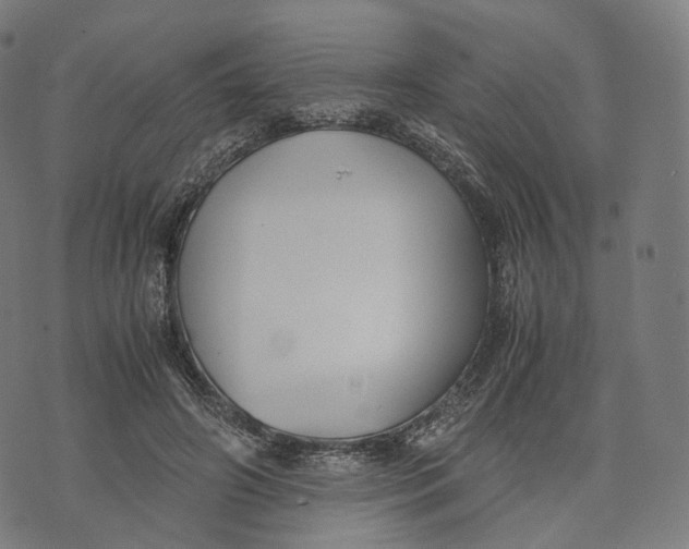 X0000074210498200609151600