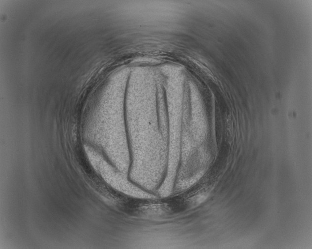 X0000074210499200609151600