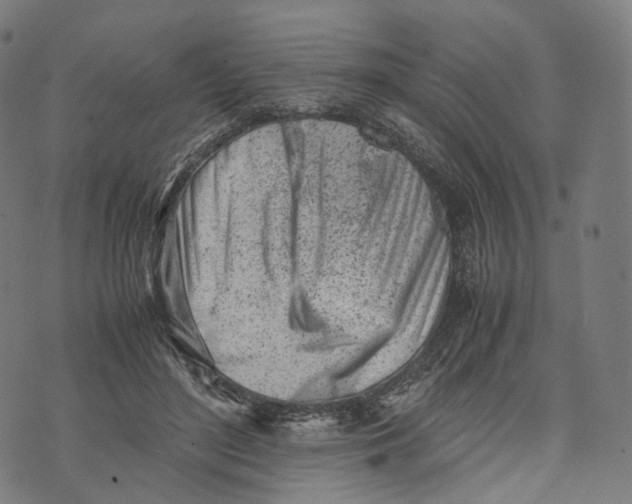 X0000074210500200609151600