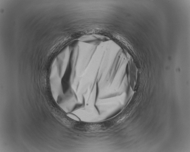 X0000074210501200609151600