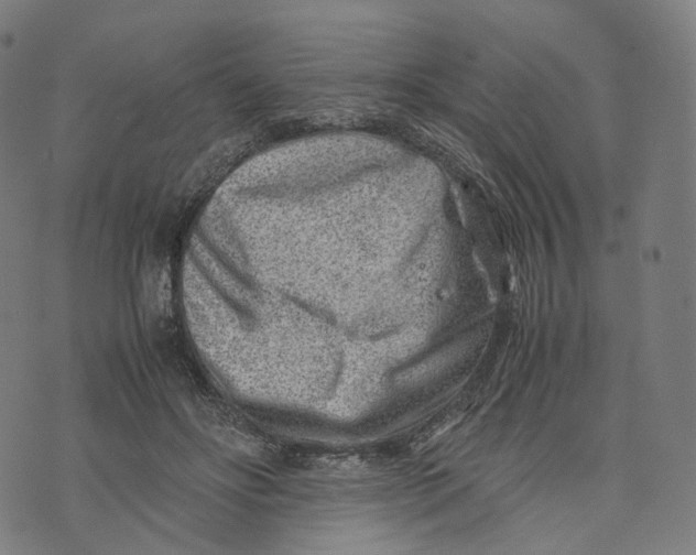 X0000074210502200609151559